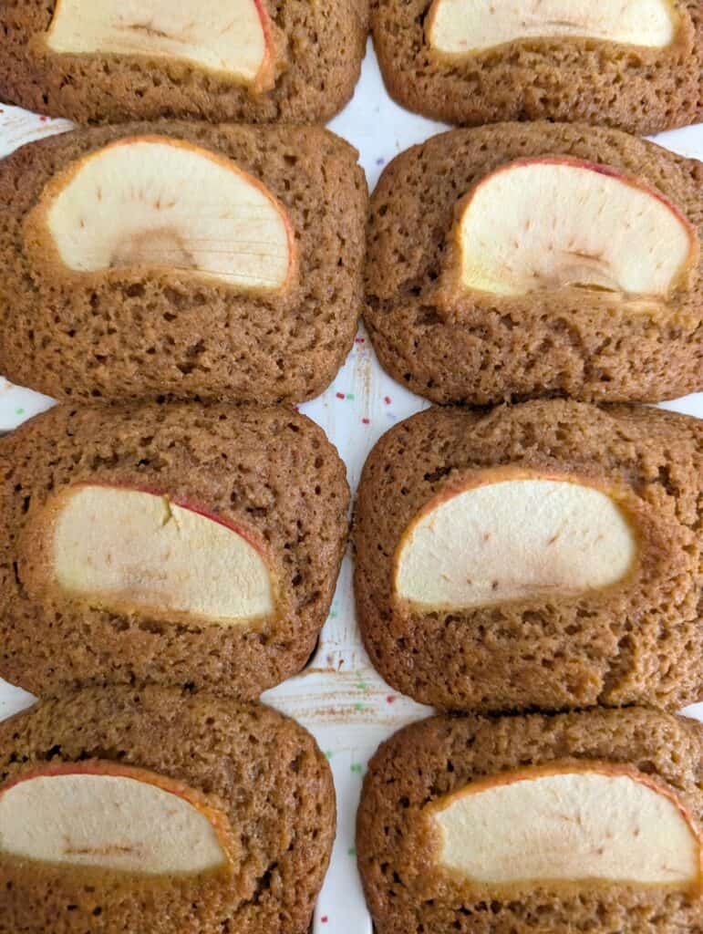 extreme close up of Apple Cinnamon Bread baked still in pan