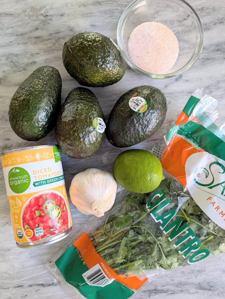 overhead image of Halloween Guacamole with Spooky Chips ingredients